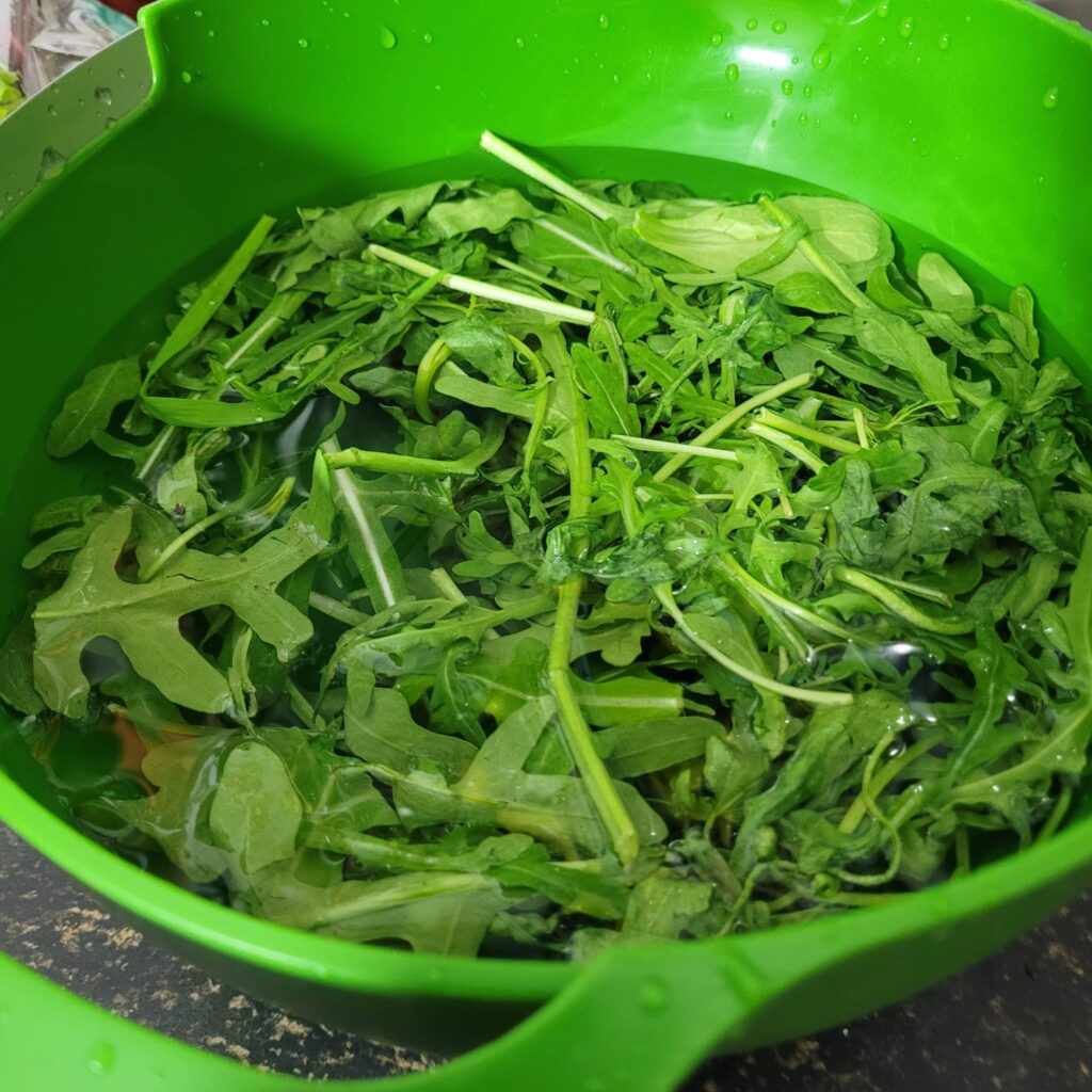 Rucola in kom koud water