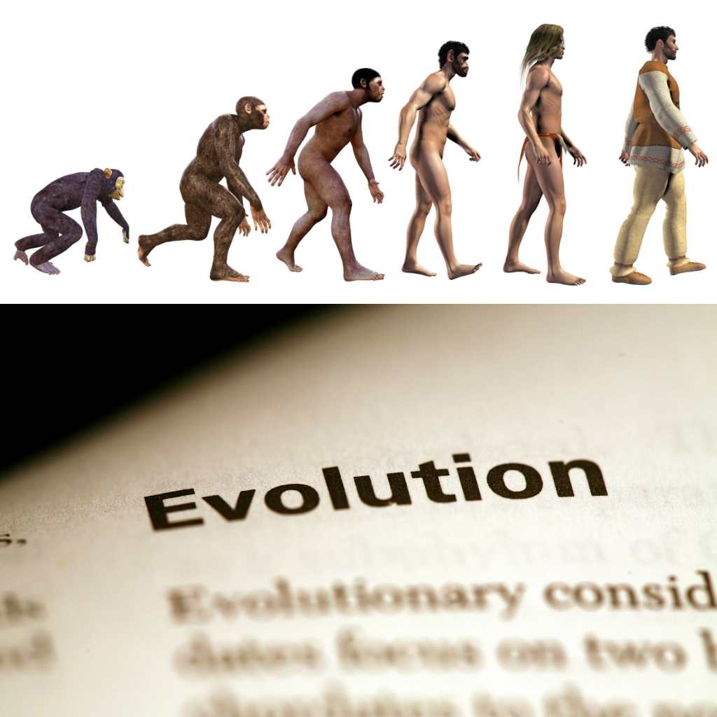 Evolutie: onze stofwisseling kan zich aanpassen