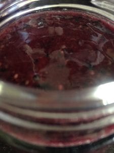 chia bosbessenjam