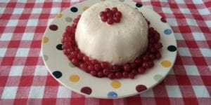 Feestelijke keto roompudding met rode bessen