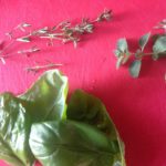 Keto ratatouille maken: Verse basilicum, tijm en majoraan
