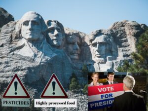 De mannen die ons dik hebben gemaakt