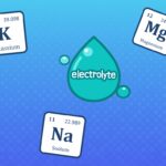 Het belang van elektrolyten Het belang van elektrolyten