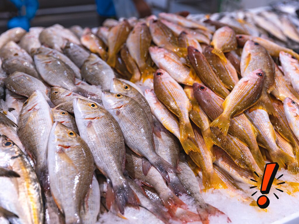 Hoe gezond is vette vis