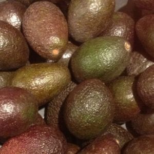 avocado - heel keto