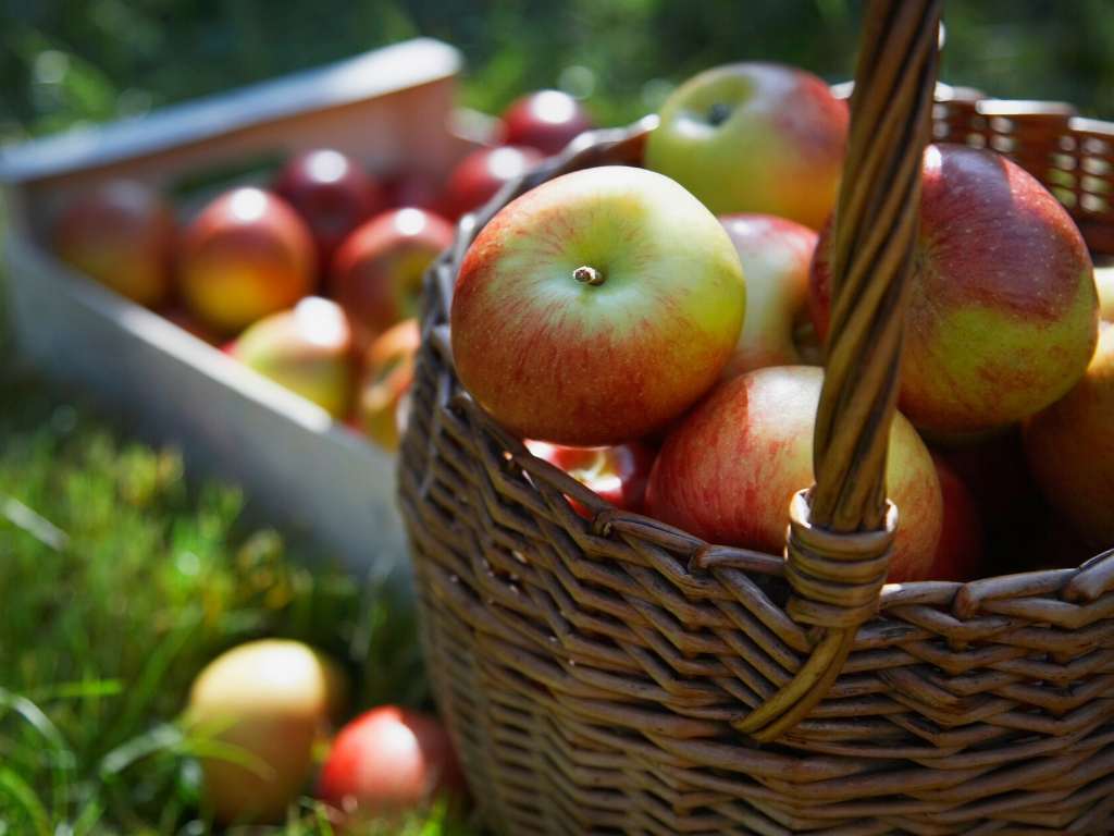 appels bevatten vezels