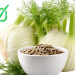 Venkel: voeding & medicijn Venkel voeding & medicijn
