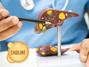 Choline tekort & leververvetting