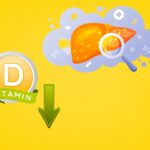 Vitamine D tekort en vervette lever (1)