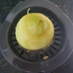 Zest de citroen en pers uit