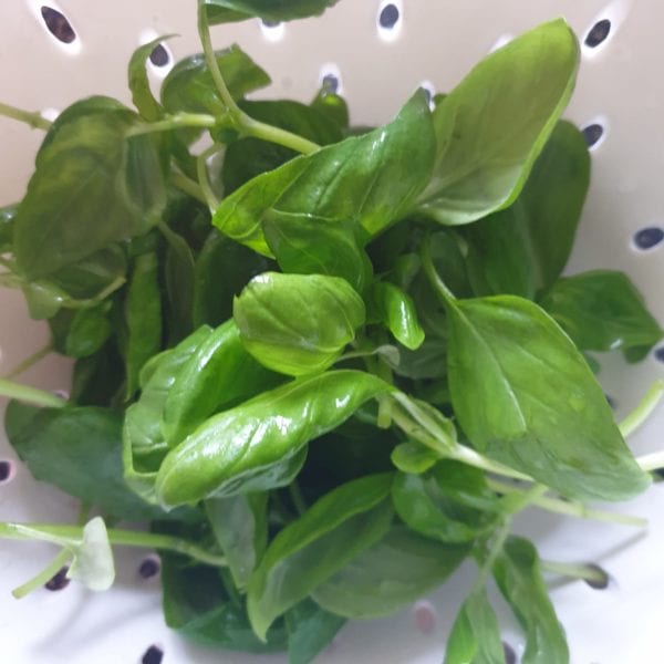 Gezond & Slank met Keto Recepten Pasta & Pizza Macadamia pesto