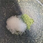 Drie soorten dipzout 10