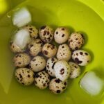 Italiaanse salade met kwarteleitjes 18