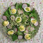 Lente salade met gevulde kwarteleitjes