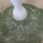 Brandnetelsoep met gehaktballetjes