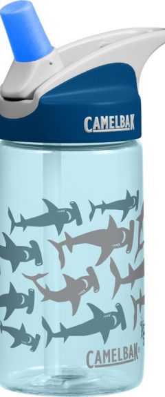 Camelbak Eddy Dolfijn